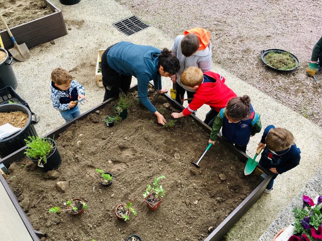 Fleurissement participatif avec les enfants sur un carré comestible