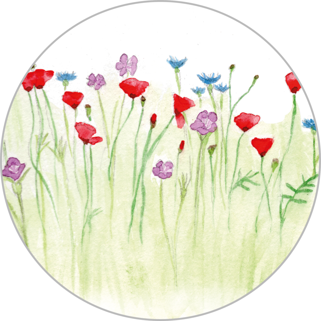 sachets de graines de fleurs sauvages en mélange