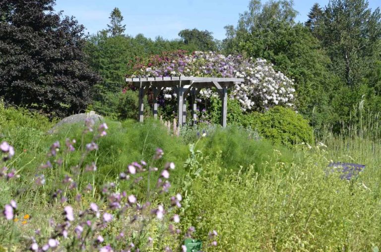 Lire la suite à propos de l’article L’Herbularium