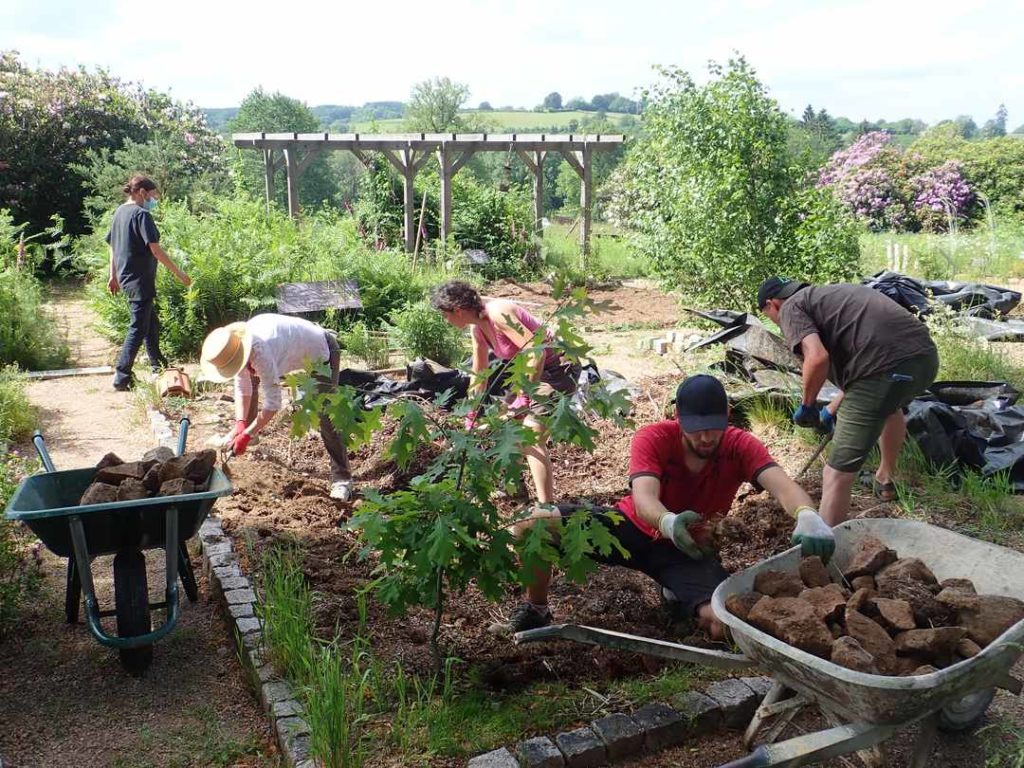Chantier participatif Herbularium