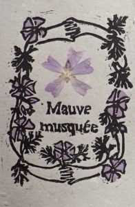 Carte a semer Mauve musquée
