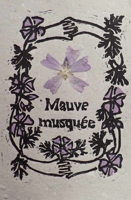 Carte a semer Mauve musquée