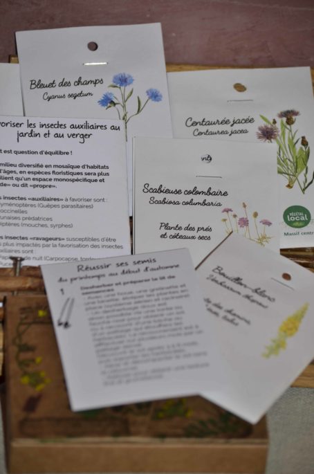 Composition sachets fiches coffret insectes