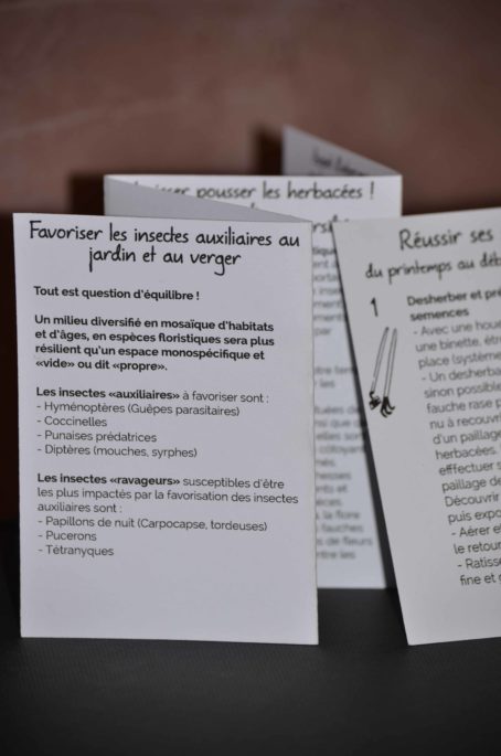 Fiches techniques coffret insectes