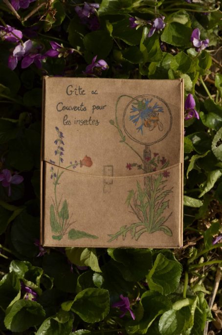 Coffret de graines pour les insectes