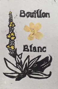 Carte a semer bouillon blanc