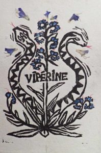Carte "semer l'abondance'', la Vipérine