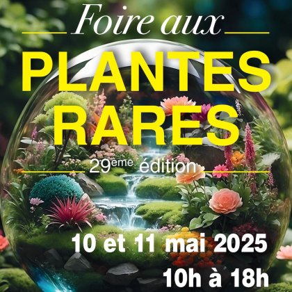 Foire aux plantes Bezouotte 2025