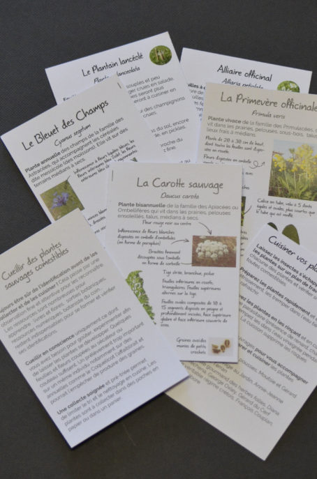 Fiches techniques coffret comestible automne