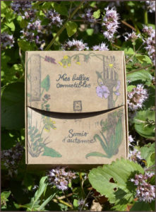 Coffret Mes Belles comestibles Semis d Automne