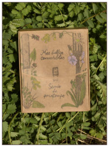 Coffret Mes Belles comestibles Semis de Printemps