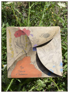 Coffret de graines Initiation Automne Couleurs