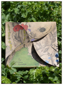 Coffret de graines Initiation Printemps Couleurs