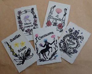 Ensemble de 5 cartes à semer