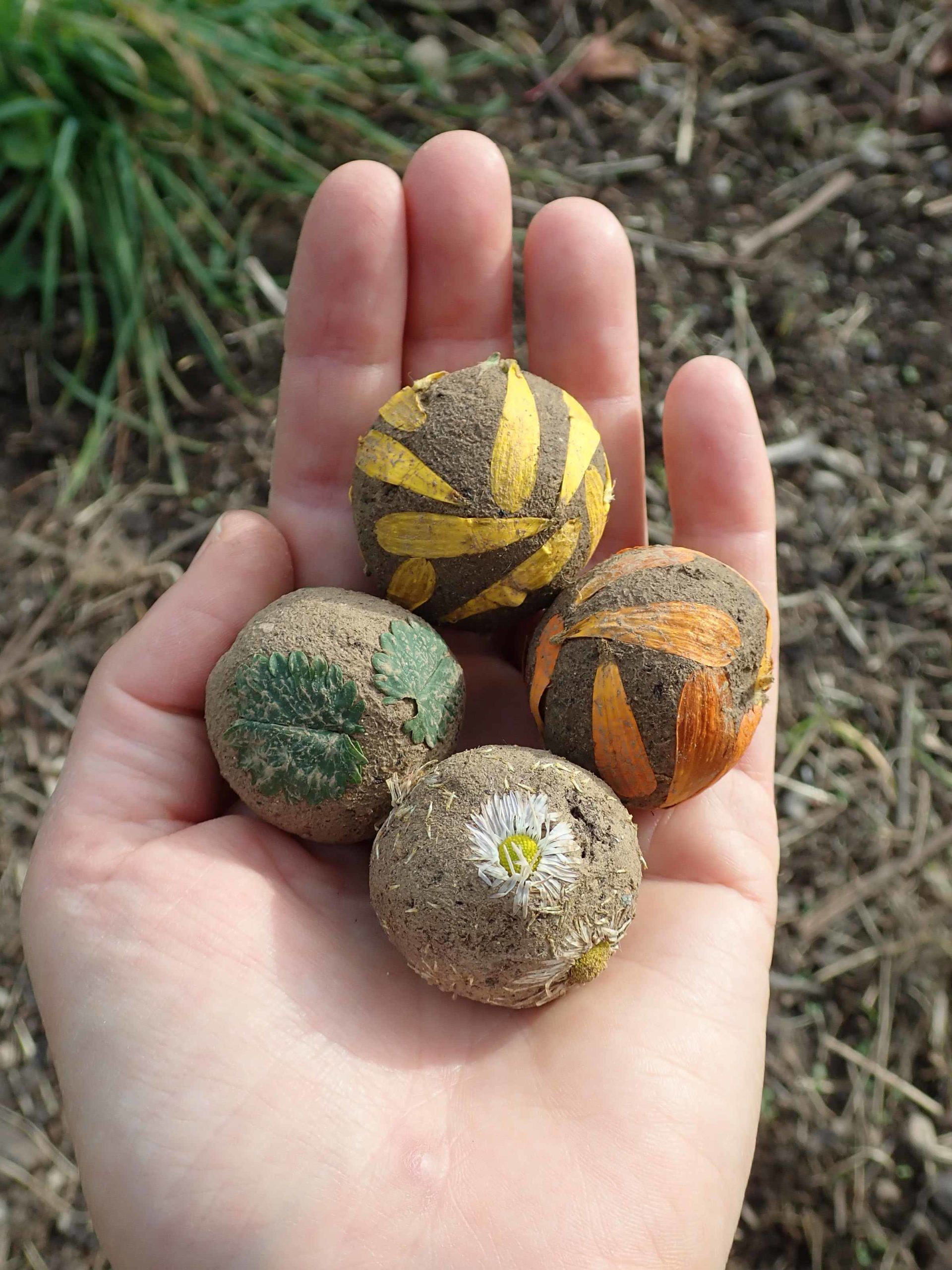 Billes de graines de fleurs champêtres, idée cadeau