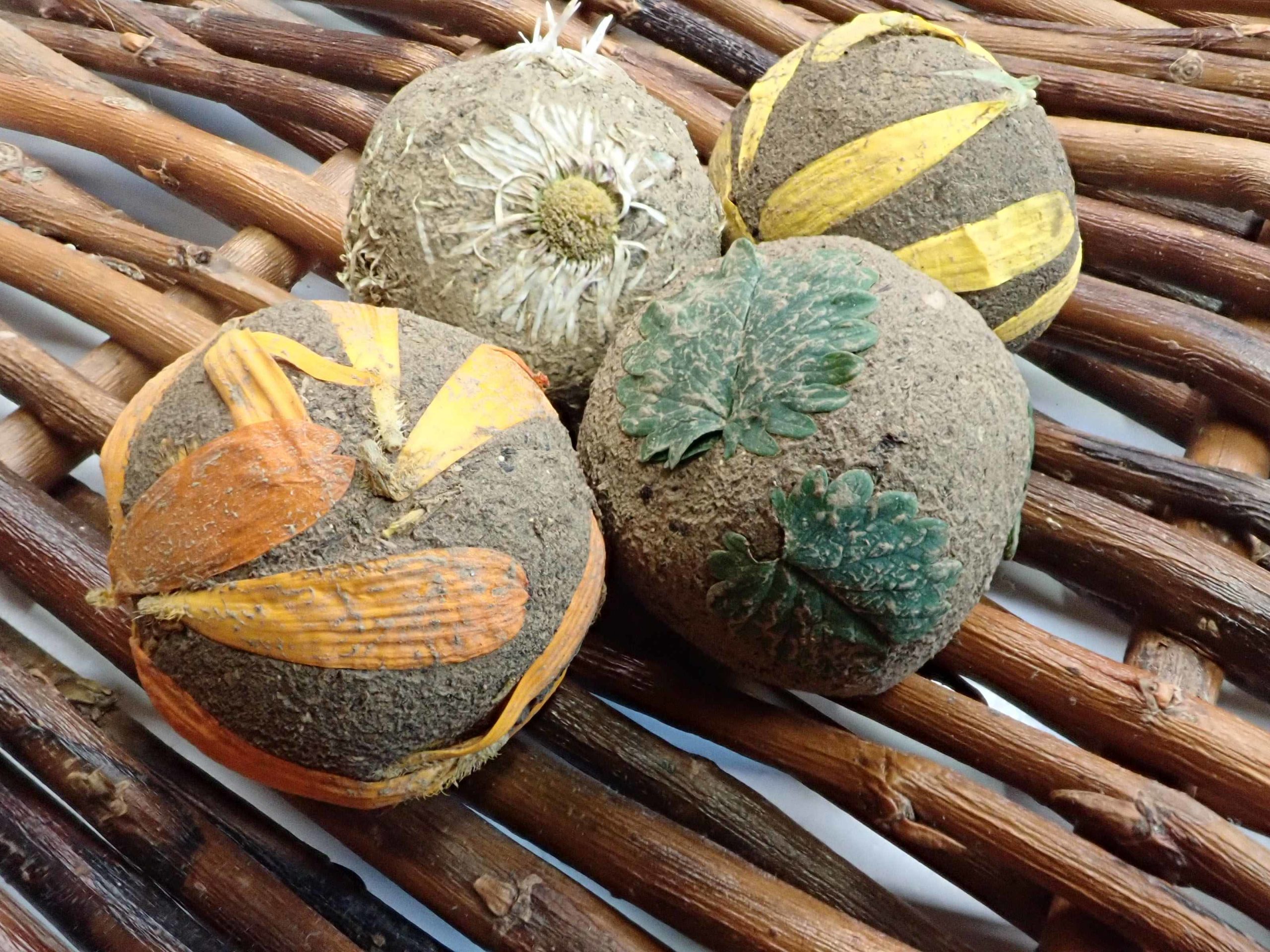 Billes de graines de fleurs sauvages champêtres