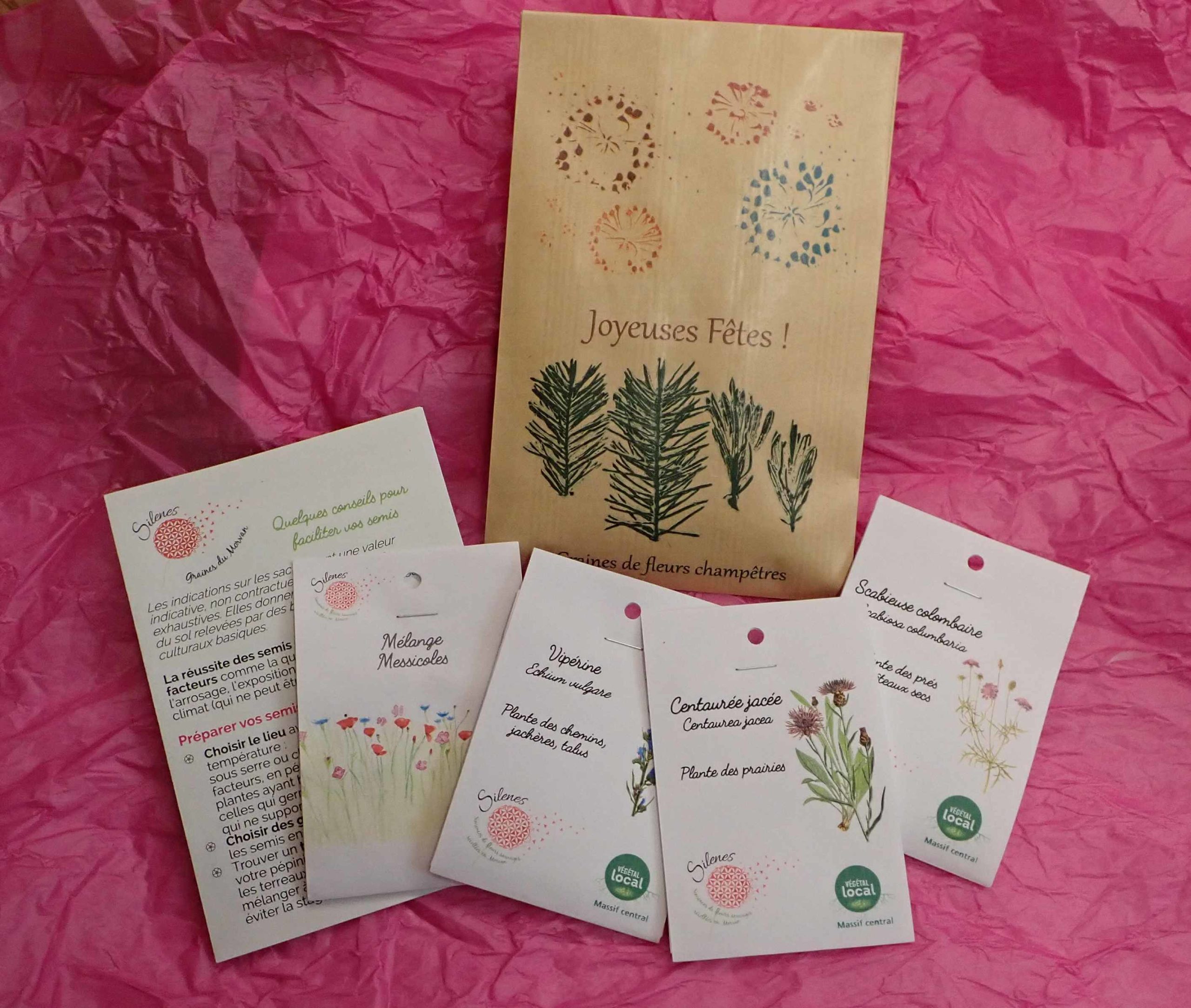 Pochette de sachets de graines de fleurs champêtres sauvages - cadeau de noel