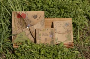 Coffrets de graines de fleurs sauvages