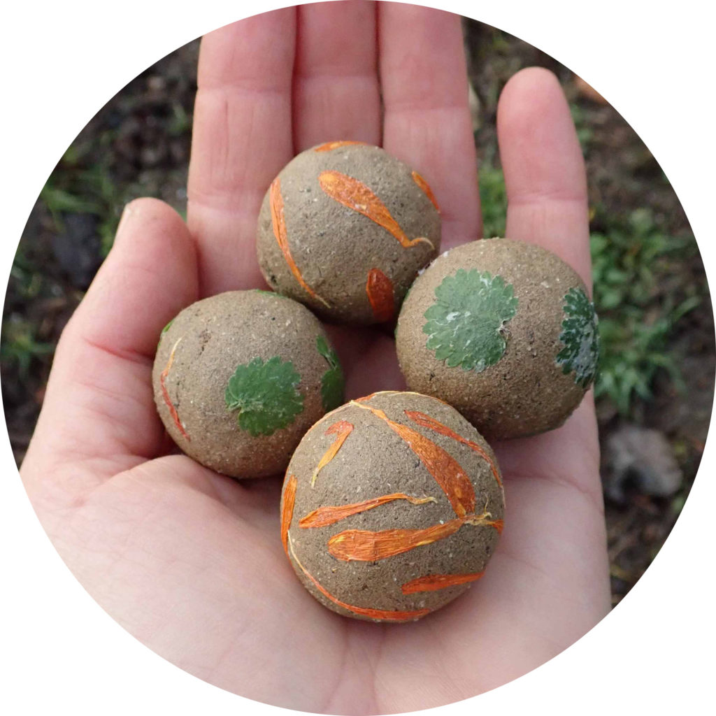 Billes de graines de fleurs champêtres