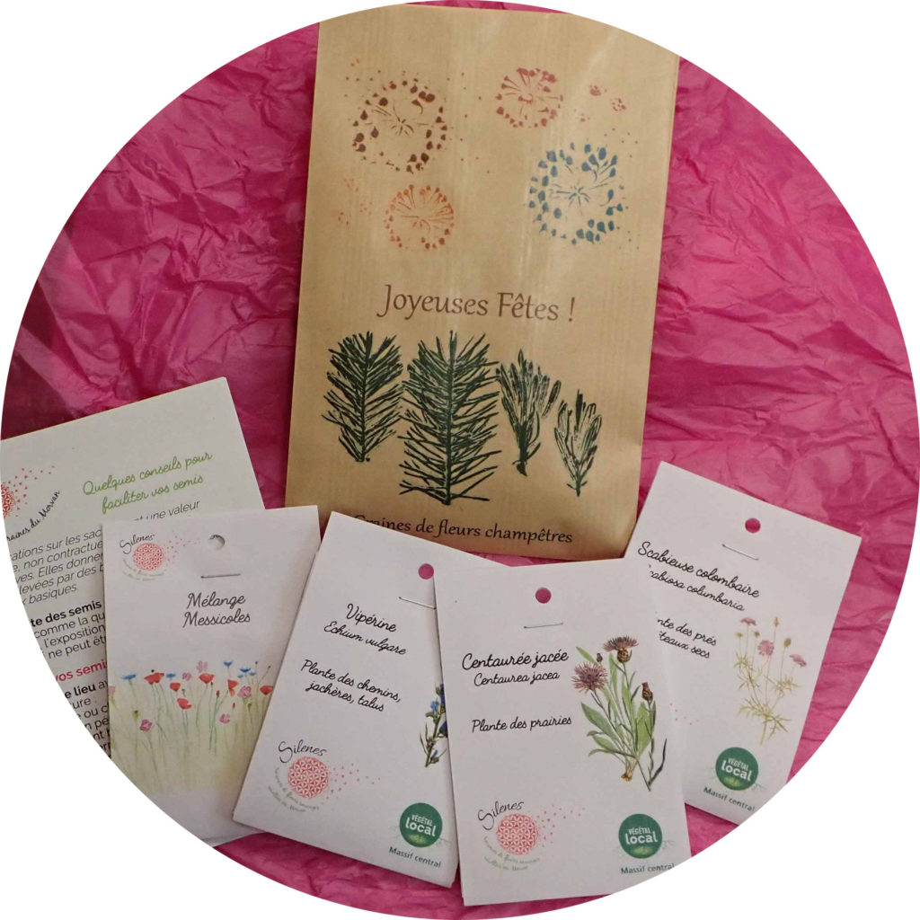 Pochette Sachets de graines de fleurs champêtres