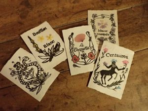 Cartes à semer illustrées et symboliques