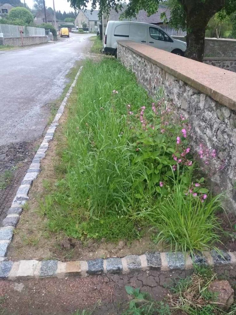 Muret du Jardin de Blanot 21, année 2024