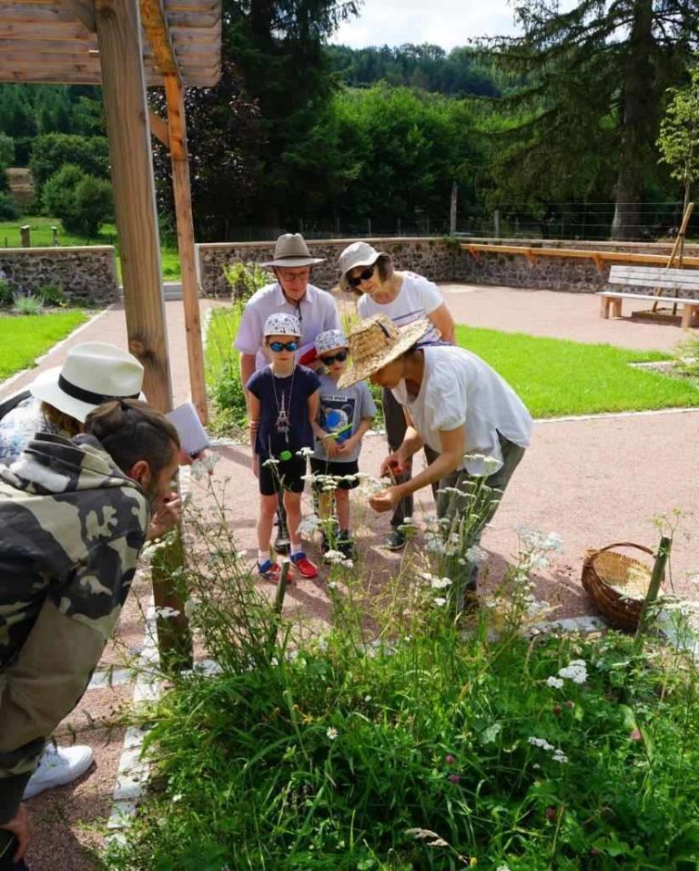 Lire la suite à propos de l’article Création d&rsquo;un jardin des simples à Blanot (21)