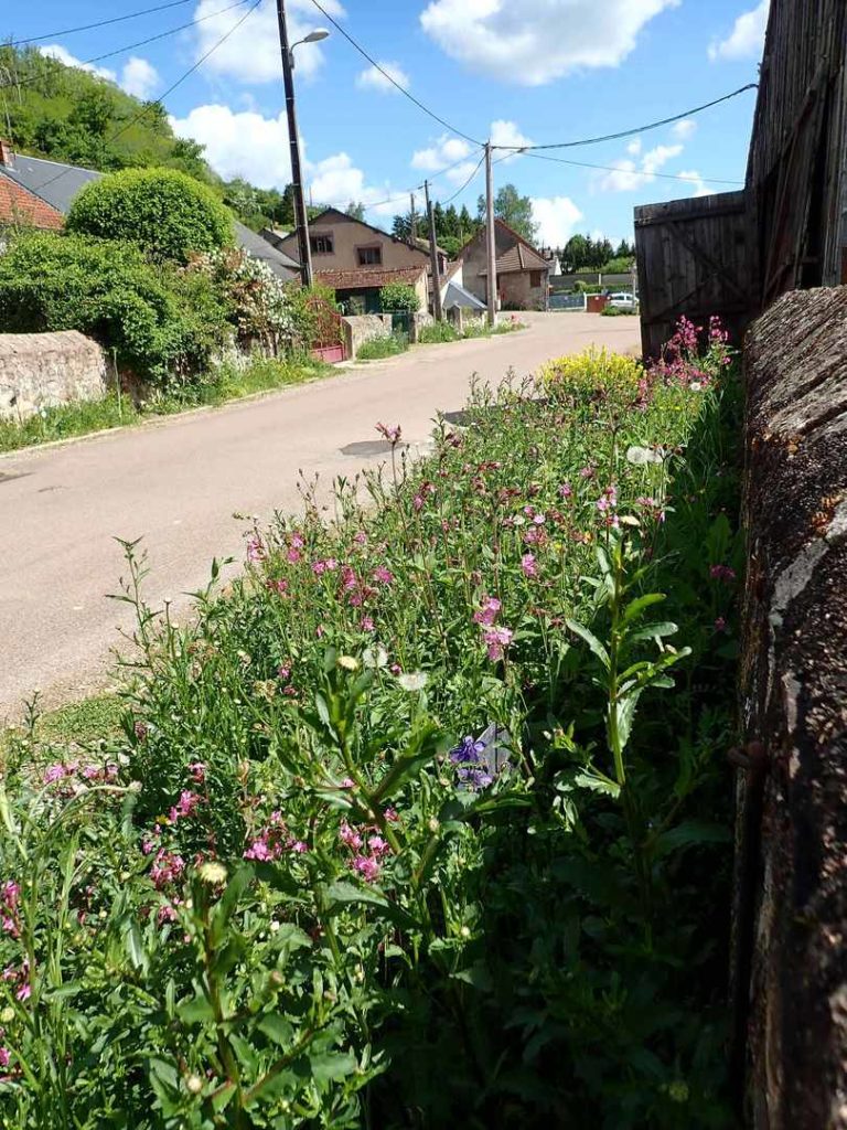 Lire la suite à propos de l’article Renaturation de la traversée du bourg de Blanot (21)