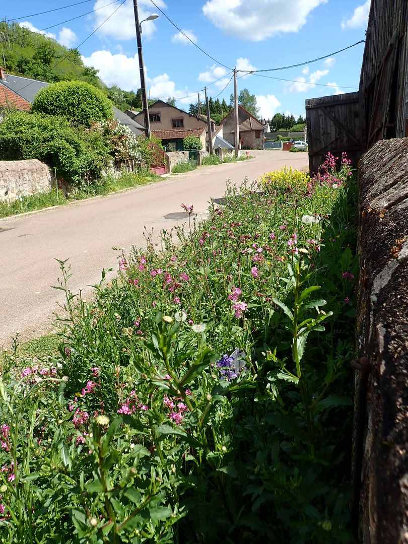 You are currently viewing Renaturation de la traversée du bourg de Blanot (21)