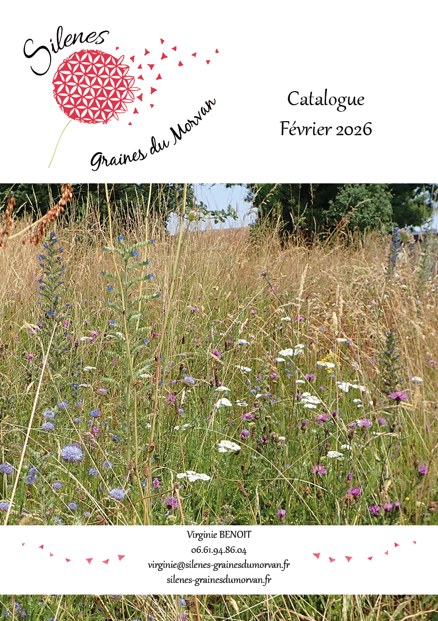 Catalogue Silenes Graines du Morvan Février 2026