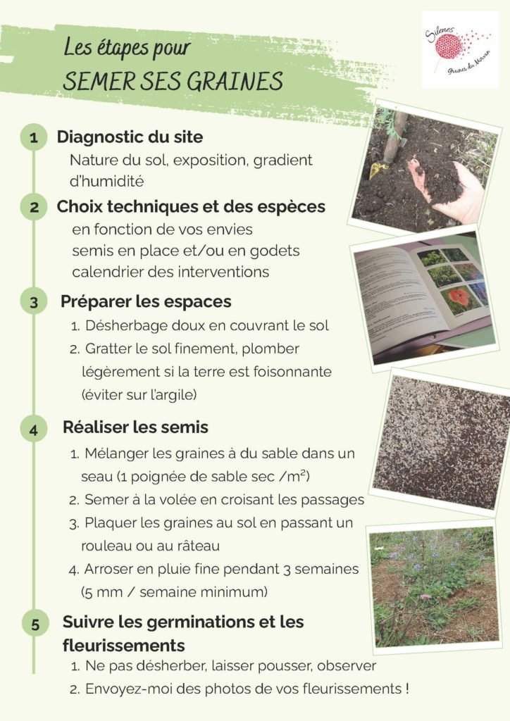 LES ÉTAPES DE SEMIS