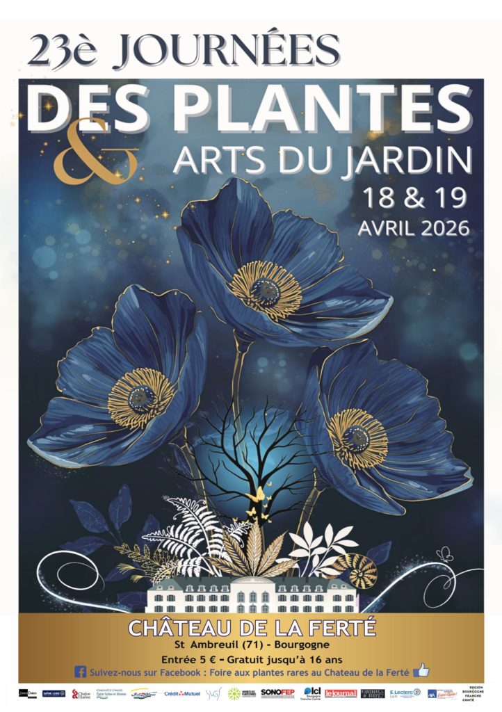 AFFICHE FOIRE AUX PLANES LA FERTE 2026