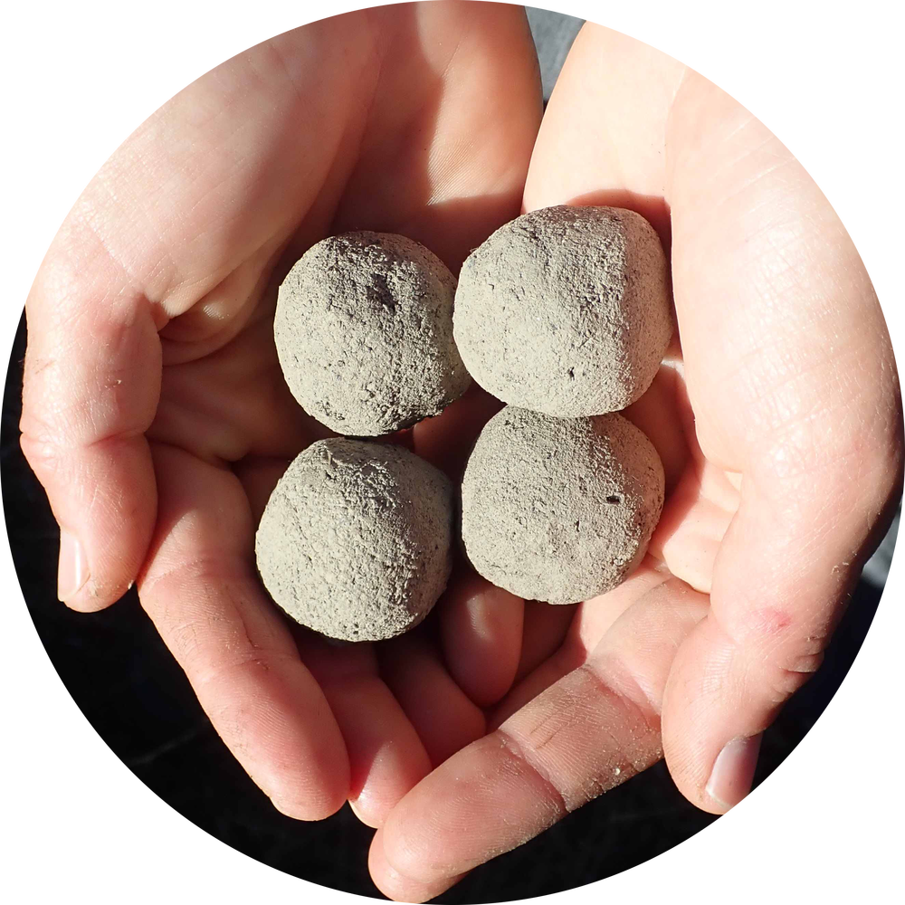 Billes de graines