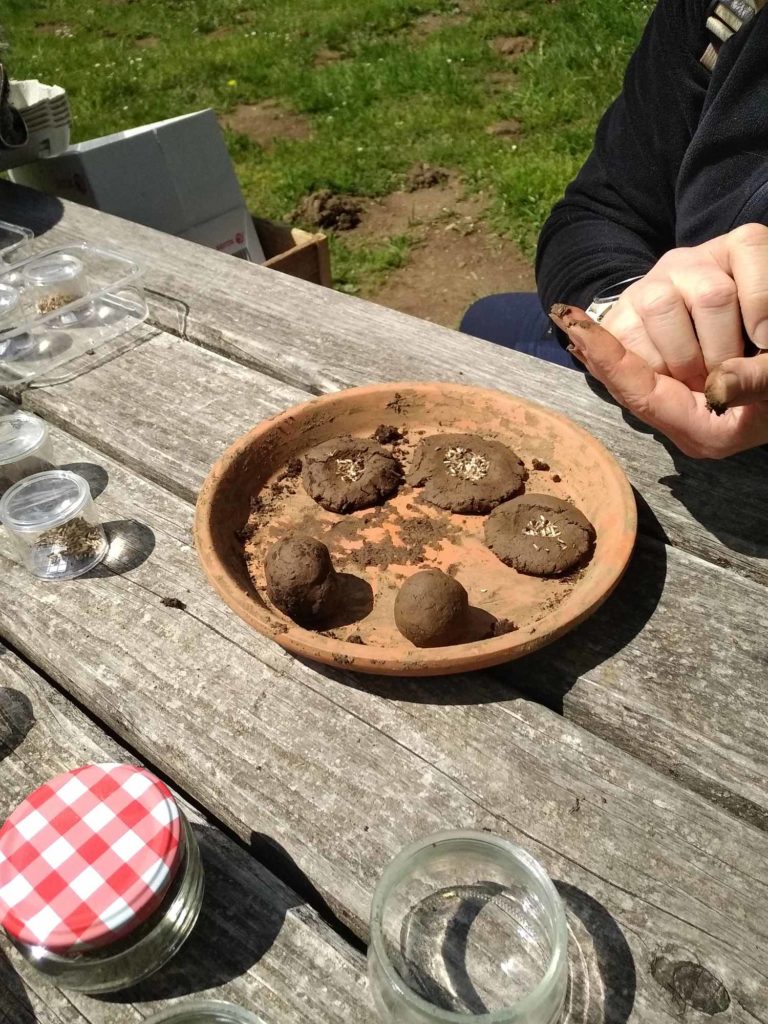 Billes de graines
