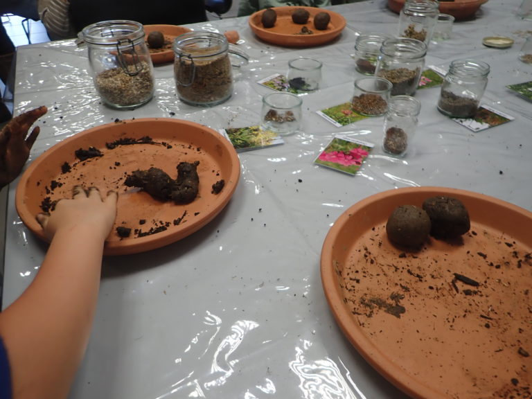 Atelier billes de graines