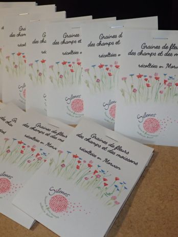 Mélange des plantes des moissons